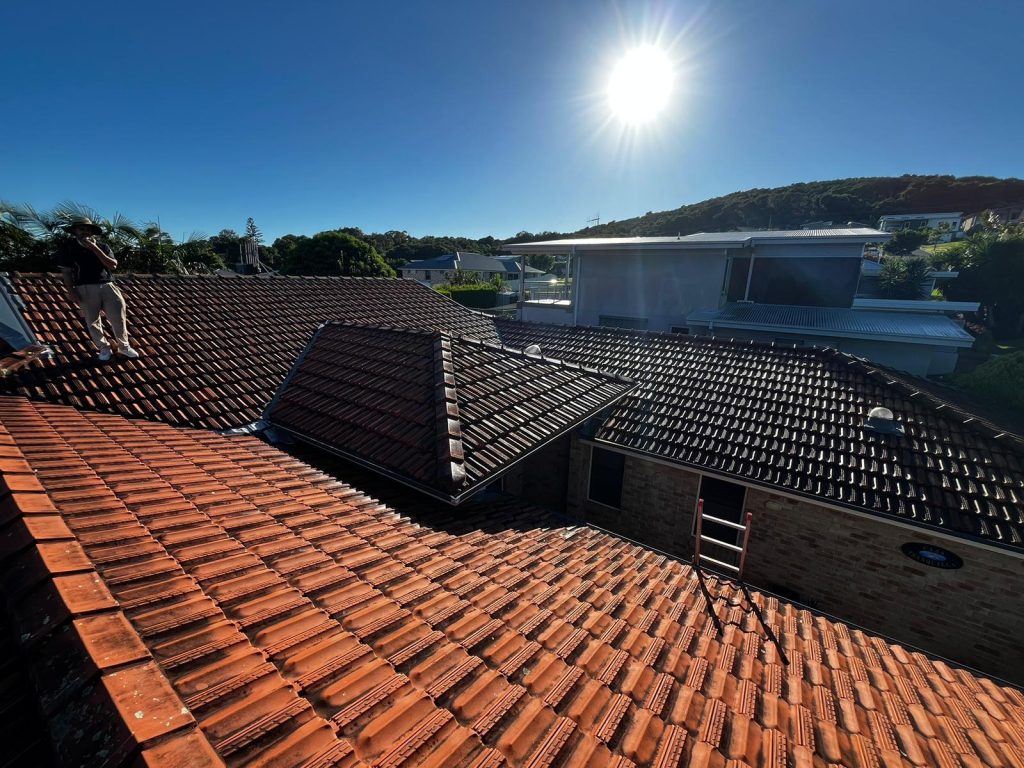 roof cleaning harrington